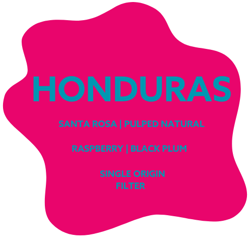 Honduras - Santa Rosa - Pulped Natural