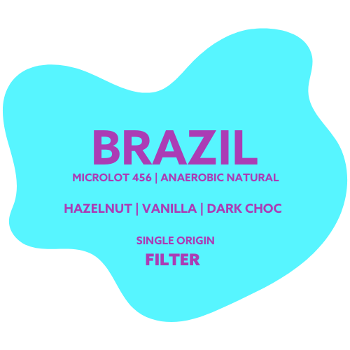 Brazil - Rafael Vinhal - Anaerobic Natural